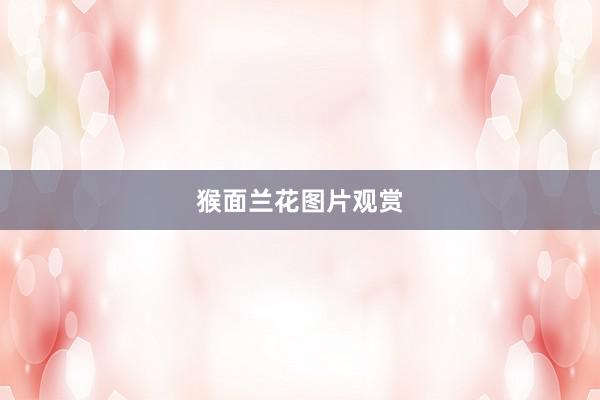 猴面兰花图片观赏