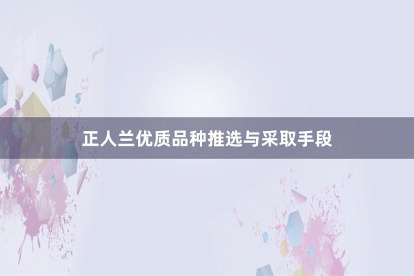 正人兰优质品种推选与采取手段