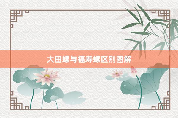 大田螺与福寿螺区别图解