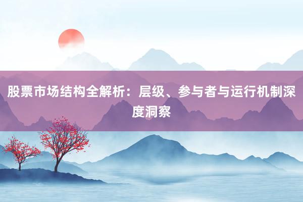 股票市场结构全解析：层级、参与者与运行机制深度洞察