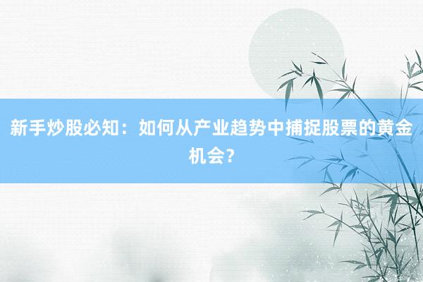 新手炒股必知:如何从产业趋势中捕捉股票的黄金机会?