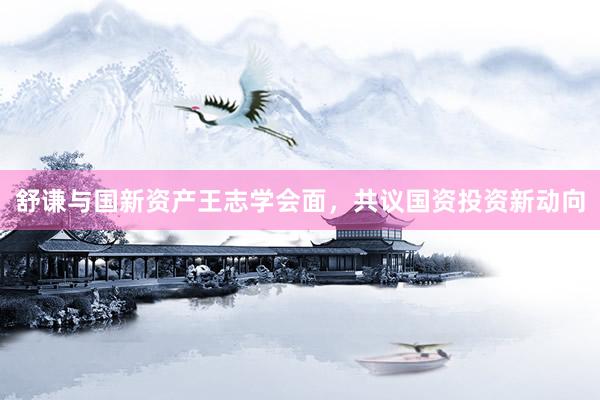 舒谦与国新资产王志学会面，共议国资投资新动向