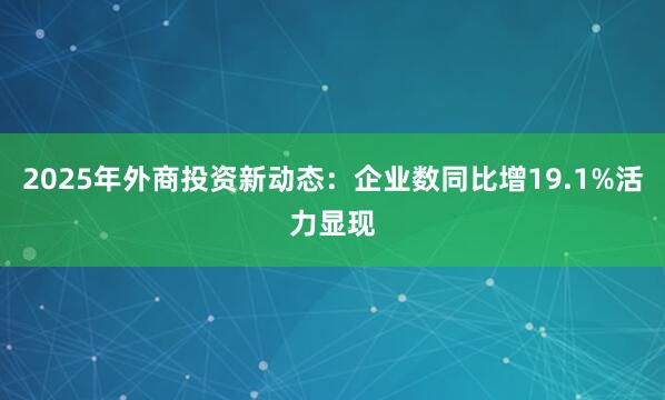 2025年外商投资新动态：企业数同比增19.1%活力显现