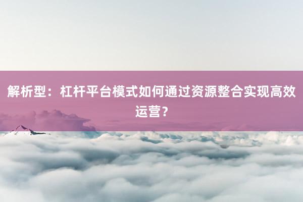 解析型:杠杆平台模式如何通过资源整合实现高效运营?